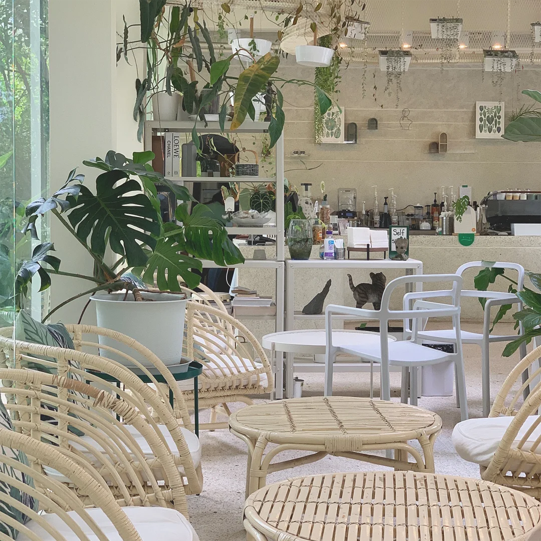 469083351_18030433190437554_8723765034765208013_n