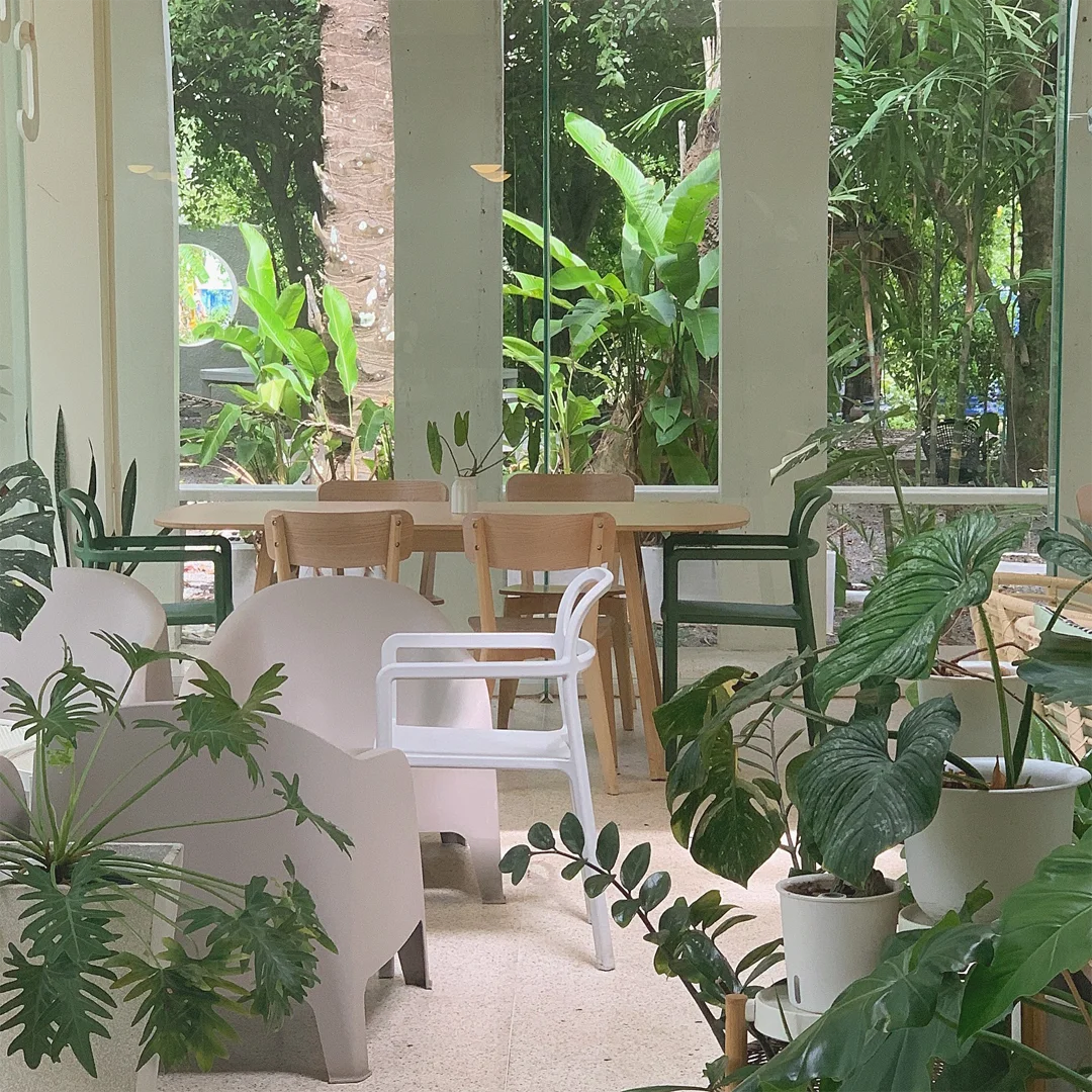 484247681_18040626740437554_7192425506909014640_n